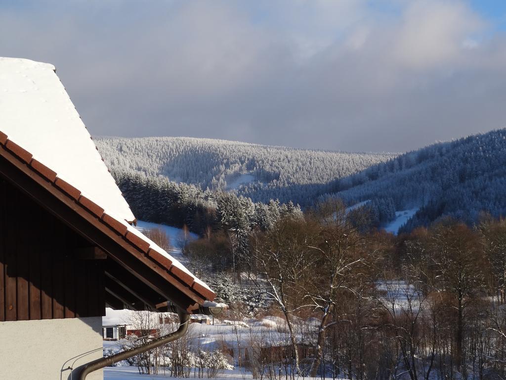 Pension Arnika Destne v Orlickych horach Luaran gambar